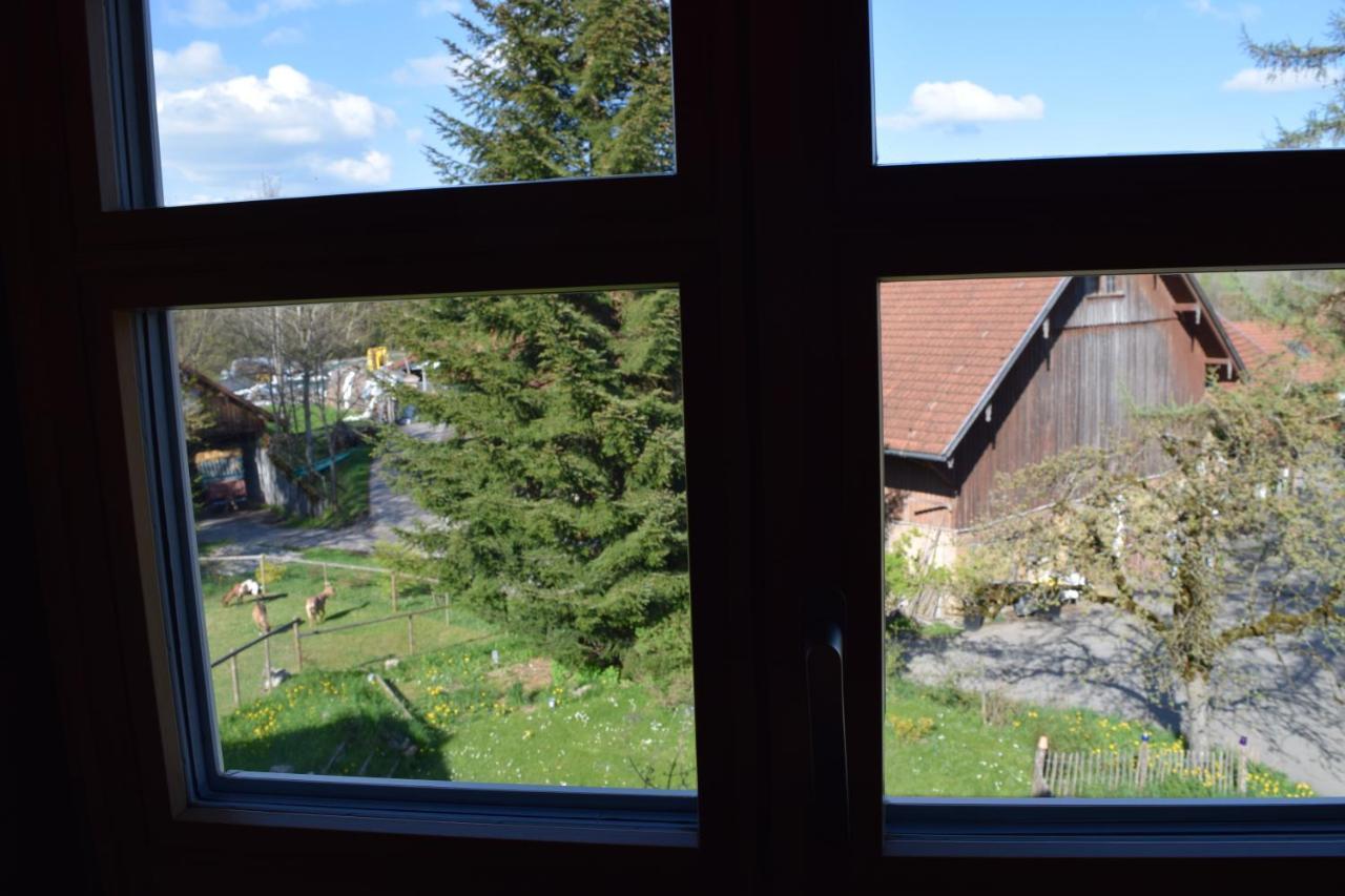 Holstein-hoefle - Gipfelstueble Argenbuhl